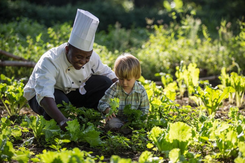 Elewana Arusha Coffee Lodge