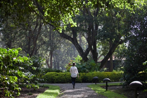 Elewana Arusha Coffee Lodge image 16