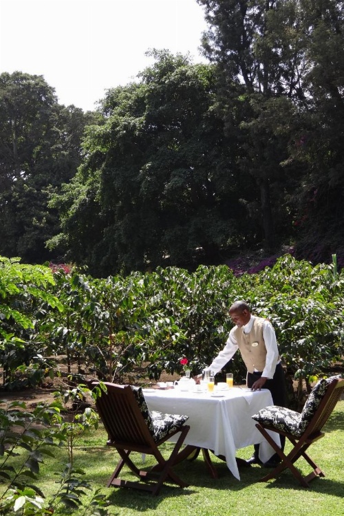Elewana Arusha Coffee Lodge image 17